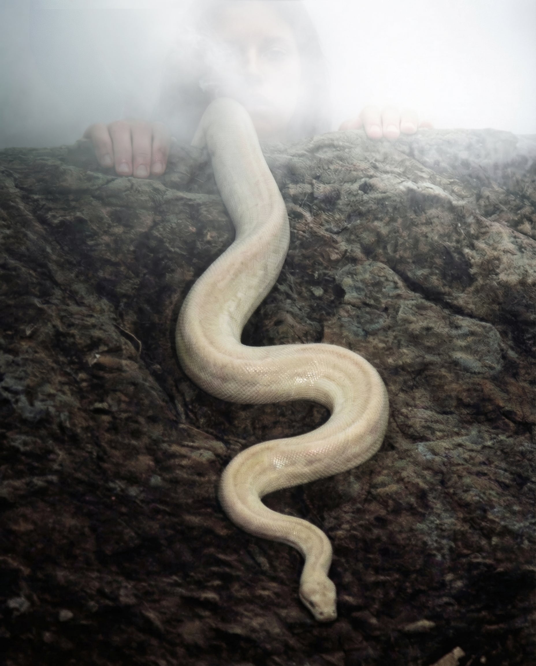 Dual Labs Le Sacré fragrance concept visual