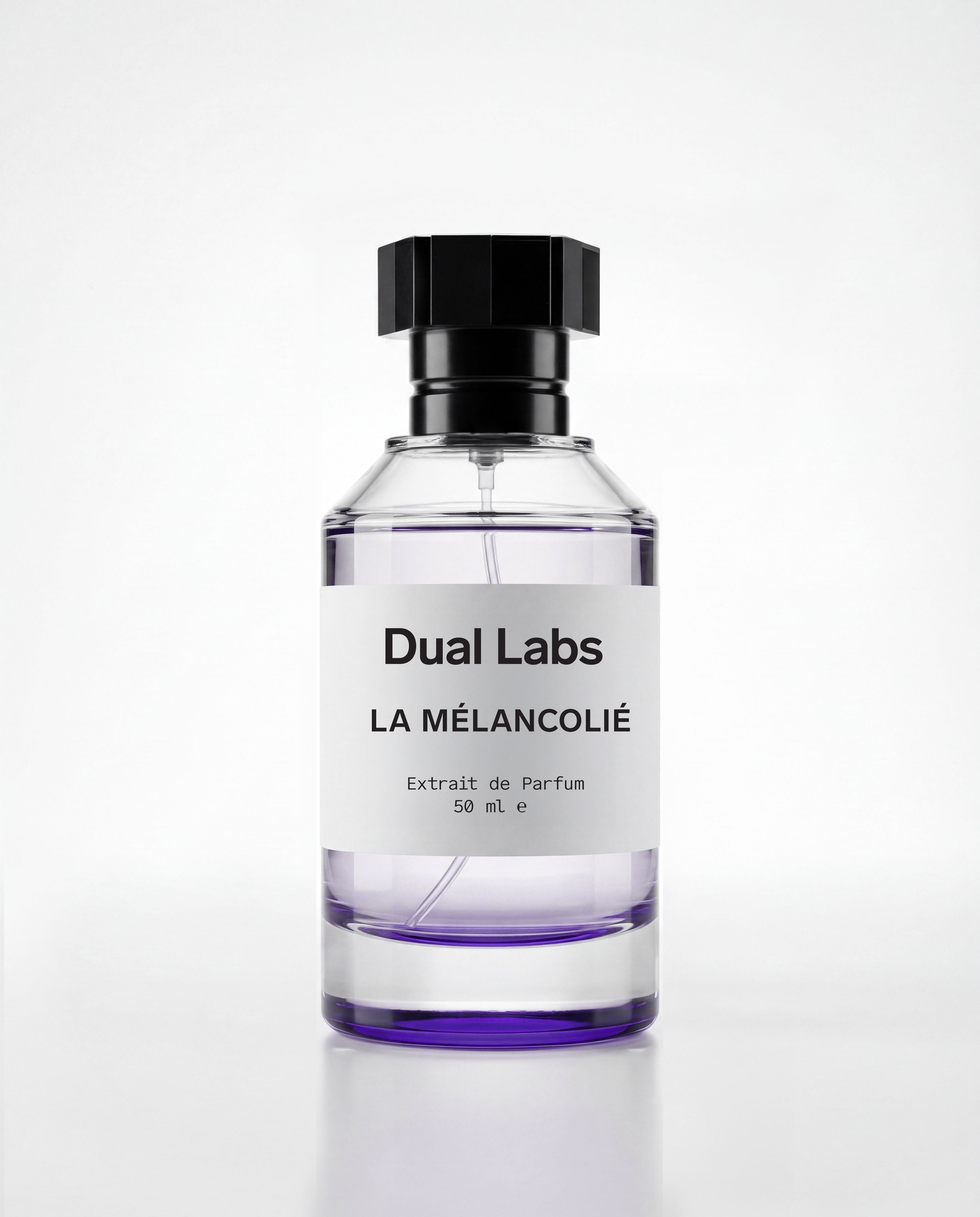 LA MÉLANCOLIÉ